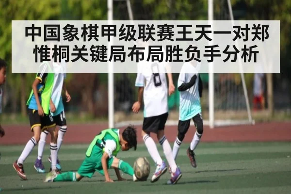 中国象棋甲级联赛王天一对郑惟桐关键局布局胜负手分析